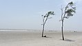 Bakkhali, West Bengal