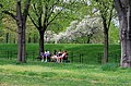 Benches sit along paths in the park.