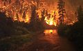 Image 31Elk Bath, an award-winning photograph of elk avoiding a wildfire in Montana (from Wildfire)