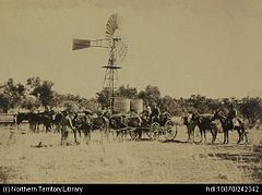 Government Bores, Overland Telegraph (OT) route. Water tanks, windmill, packing up camp onto the buggy.