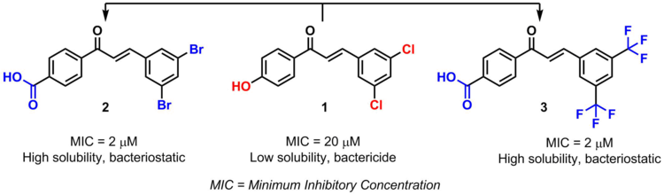 Example of bioisosterism in chalcones