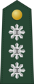 Colonel