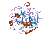 2cn0: COMPLEX OF RECOMBINANT HUMAN THROMBIN WITH A DESIGNED INHIBITOR