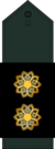 Lieutenant Colonel