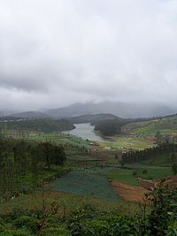 Mountain-top view of the Avalanche Lake