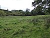 Empingham Marshy Meadows