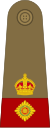 Lieutenant-Colonel