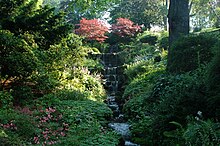 water trickling down a hillside in a series of waterfalls with flowers and other vegetation on either side