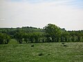 Dunlop Castle hill from the top of the stone.