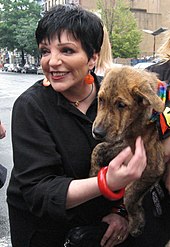 Liza Minnelli, pictured in 2006 holding a brown dog while judging a pet contest