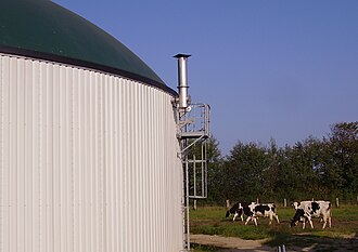 Farm-based maize silage digester near Neumünster, Germany, 2007, using whole maize plants, not just the grain. The green tarpaulin top cover is held up by the biogas stored in the digester.