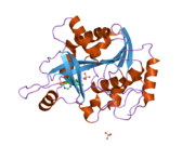 2a0w: Structure of human purine nucleoside phosphorylase H257G mutant