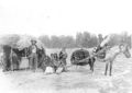 Image 14Stump Horn and family (Northern Cheyenne); showing home and horse-drawn travois. (from History of Montana)