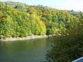 Lisinsko Lake in Bosilegrad