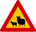 Watch for (large) animals sheep