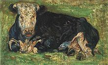 A black cow with a white face lying down in a green meadow facing the viewer.