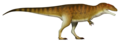 Carcharodontosaurus