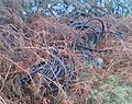 Near the top of the incline are the discarded remains of the cables used for hauling engines up the incline