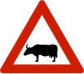 Cows/Ku