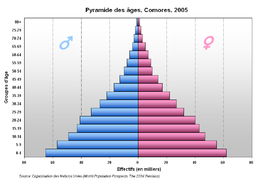 Population geography or Demography