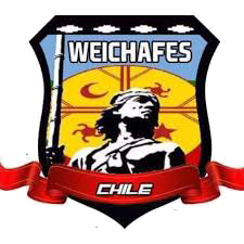 Badge of Chile team